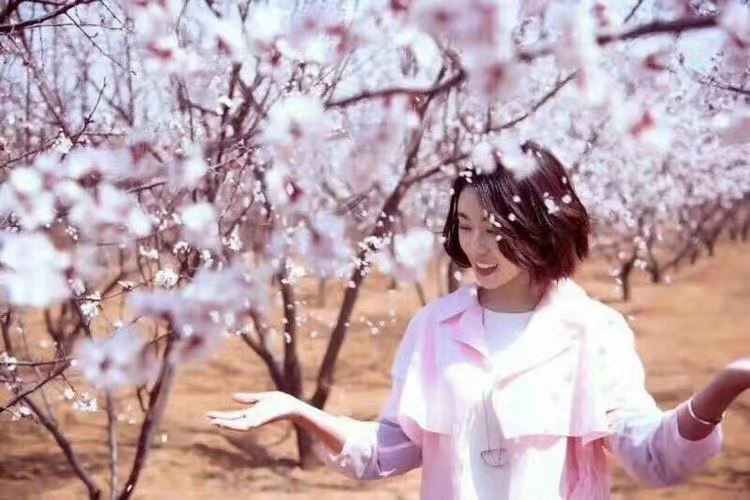 顺平杏花.jpg