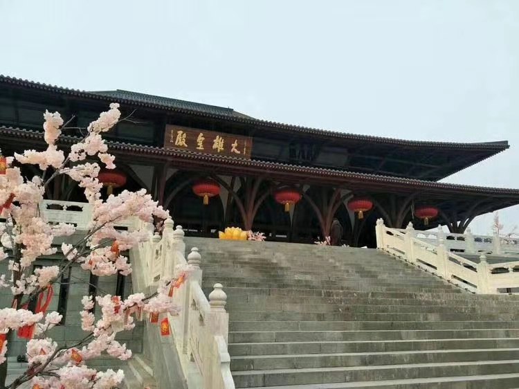 顺平杏花2.jpg